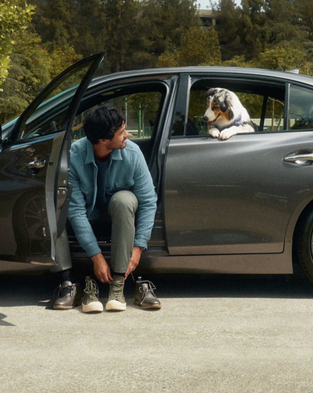 Driver and his dog in a grey 2024 INFINITI Q50 sedan