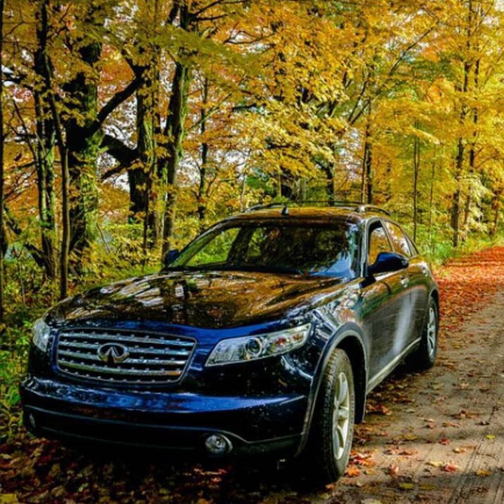INFINITI FX35 luxury crossover coupe parked on forest pathway
