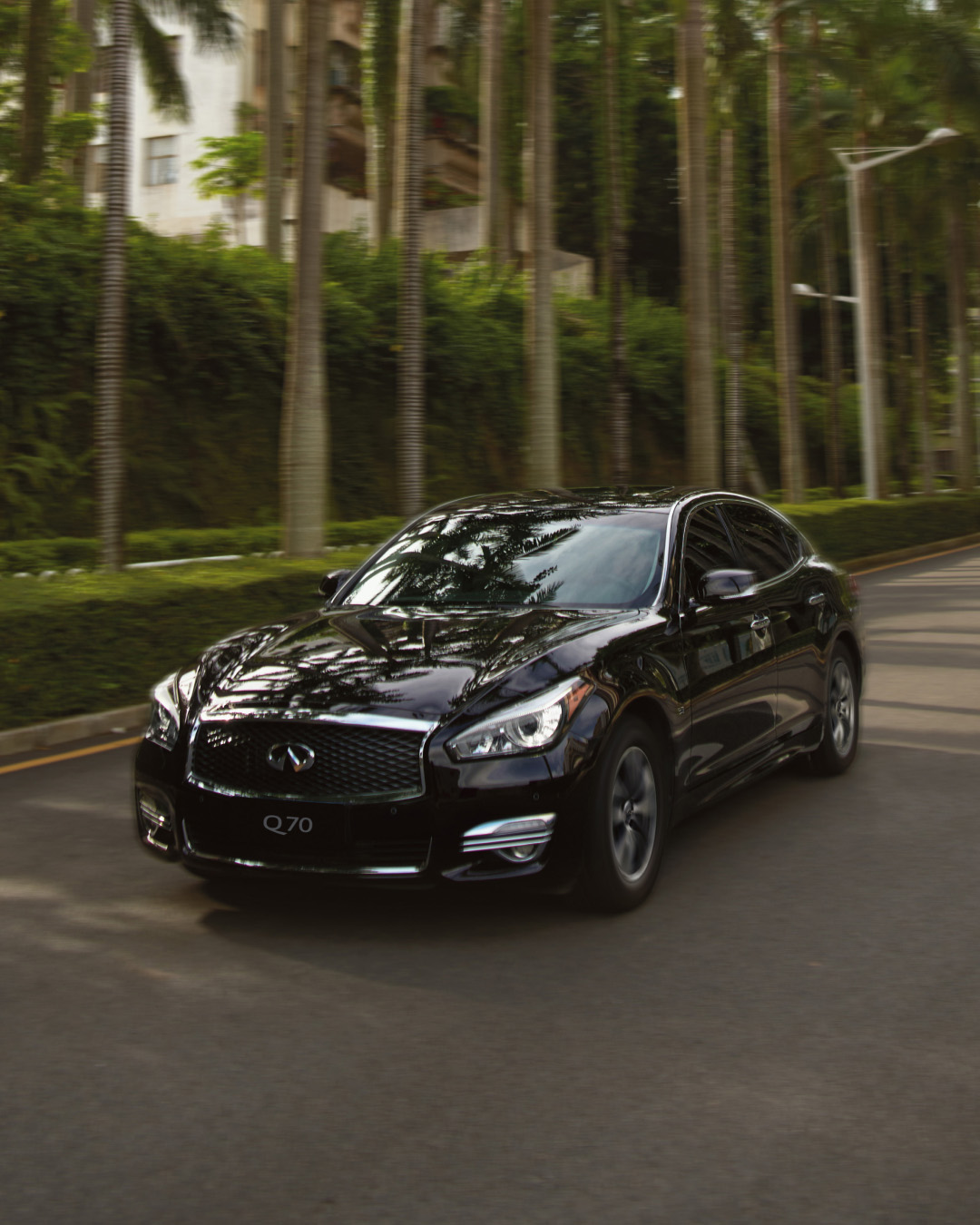 INFINITI Q70 driving past palm trees